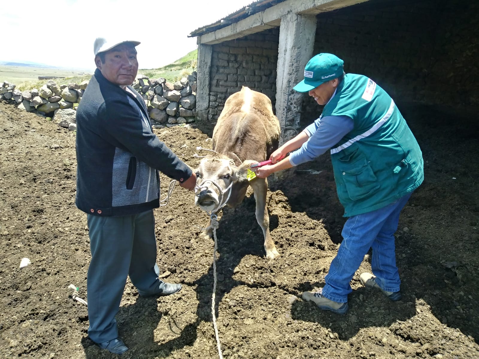 Minagri Impulsar El Consumo De Alimentos Sanos Con Identificaci N De