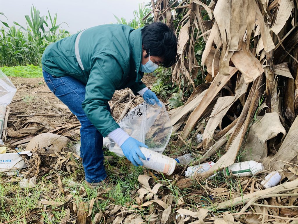 SENASA lidera jornada de recojo de envases vacíos de plaguicidas en