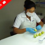 Laboratorio de Mosca de la Fruta