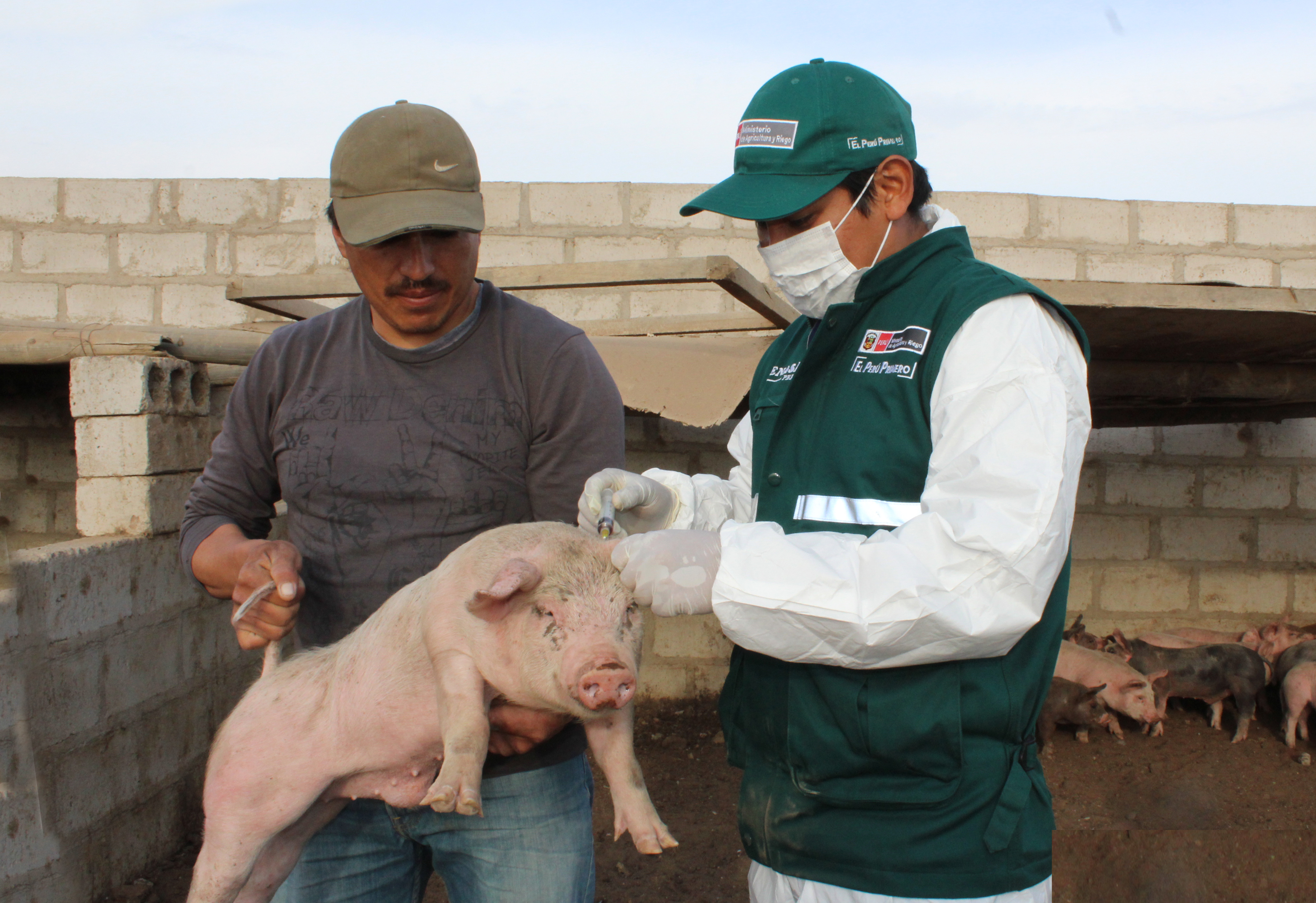 Agricultura Familiar - SENASA Al Día