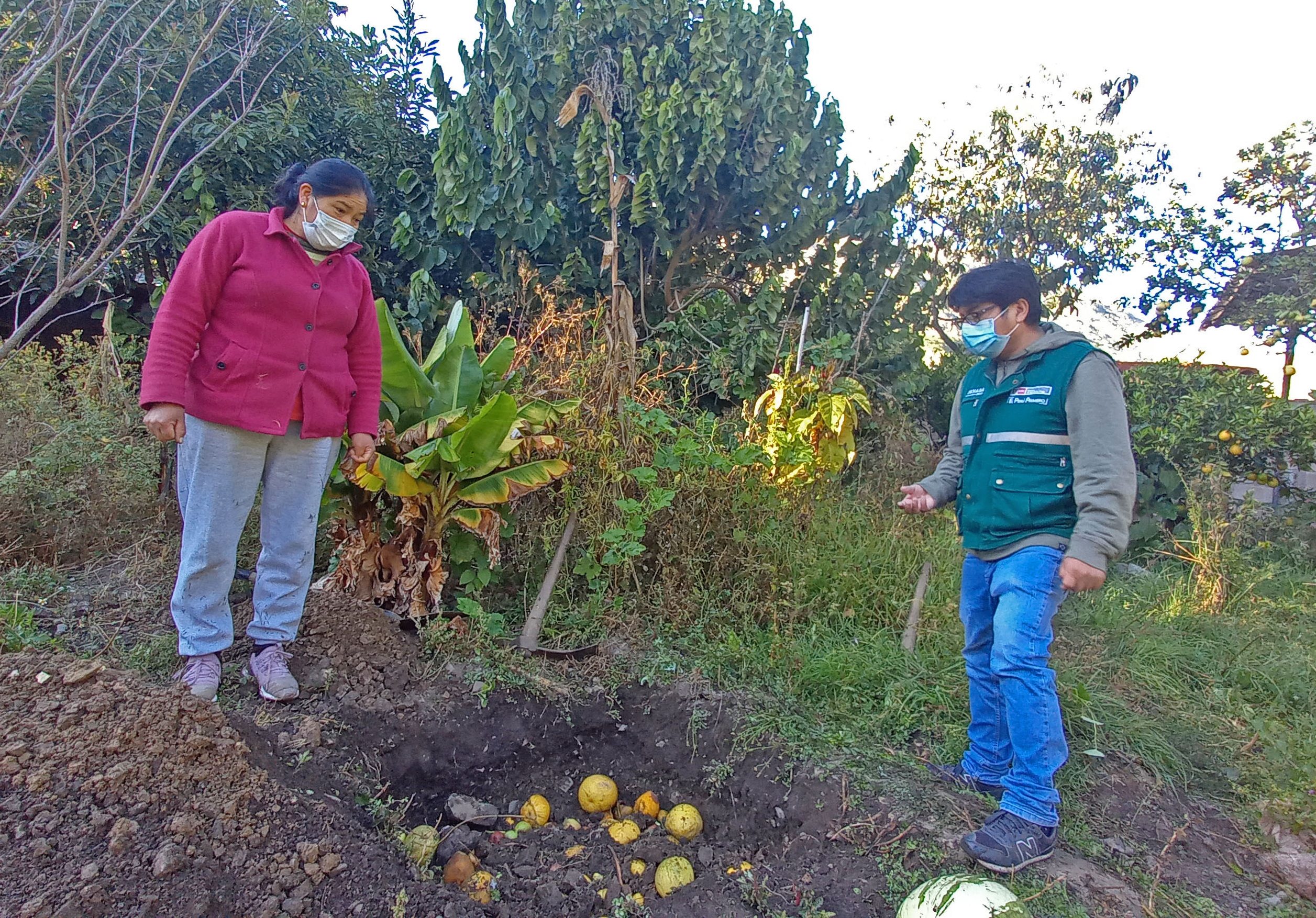 senasa-y-productores-combatir-n-la-mosca-de-la-fruta-en-la-regi-n